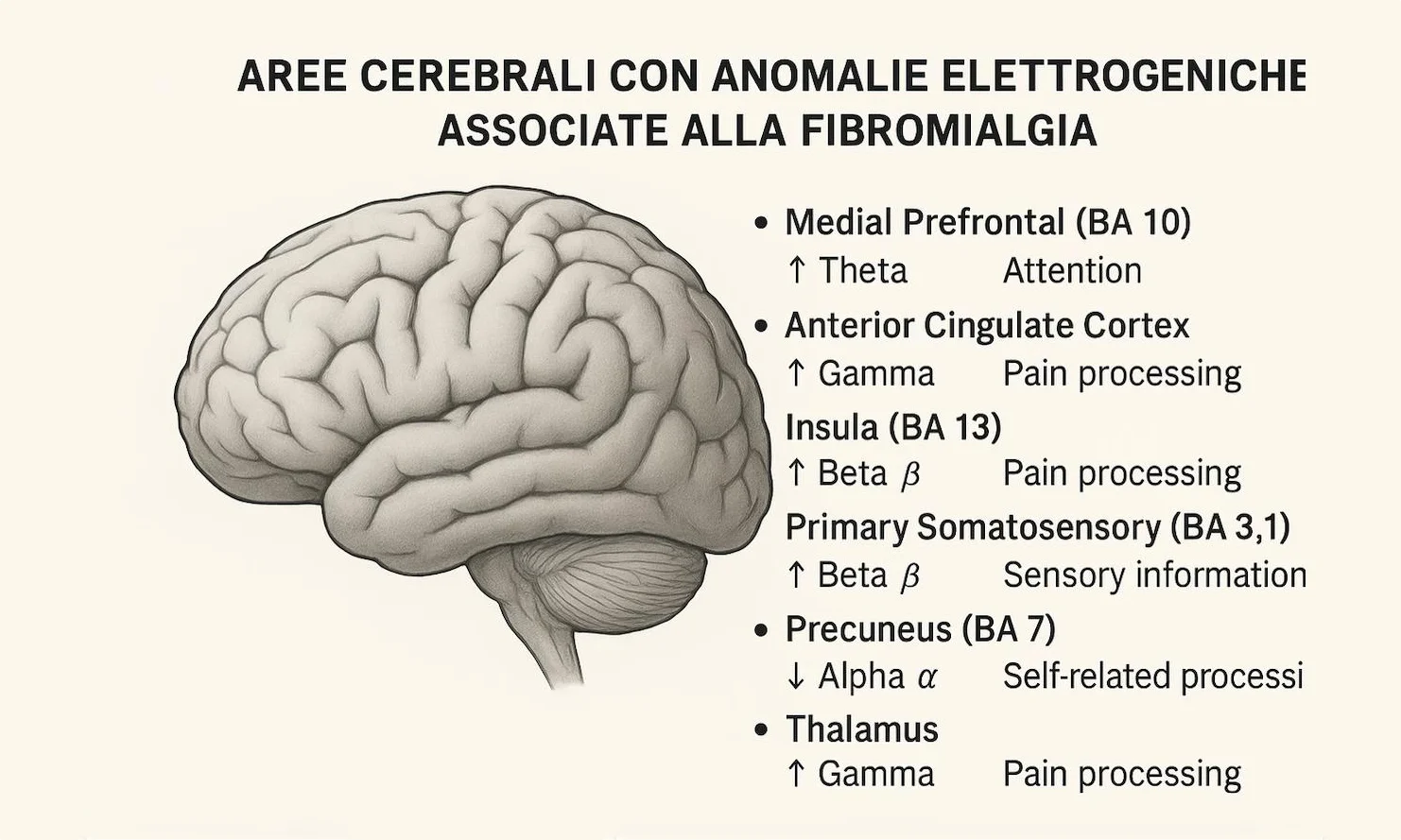 Fibromialgia e Q-EEG: stato dell’arte e nuove prospettive